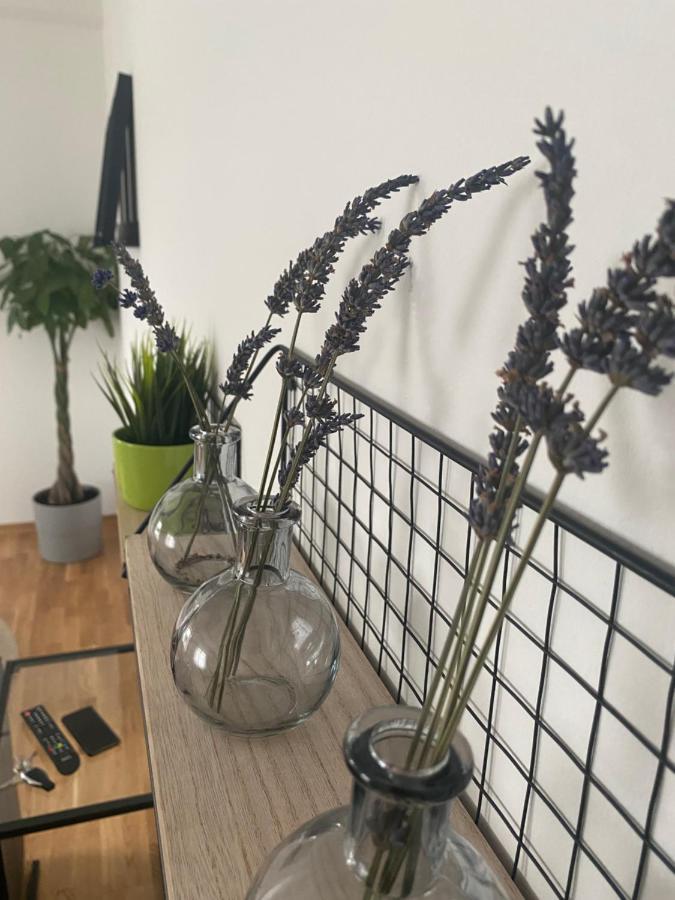 Penthouse West S Apartment Varaždin Екстериор снимка